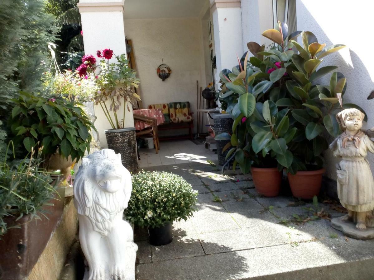 Dach-Studio-Runkel Schadecker Strasse 6 Buitenkant foto
